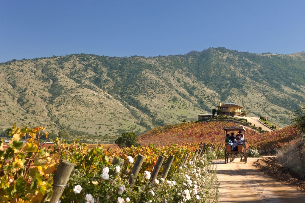 Route du vin, vallée de Colchagua