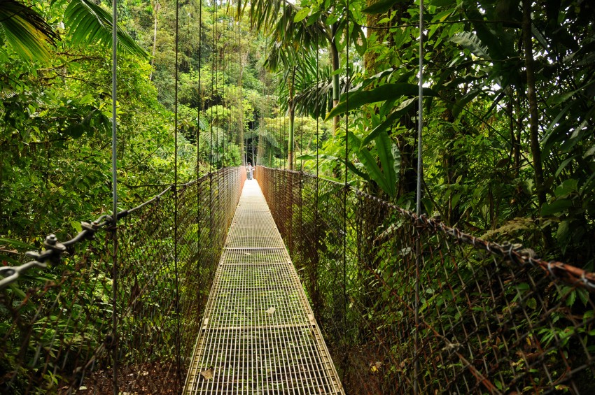 Pont suspendu au Costa Rica