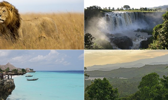 Voyage afrique
