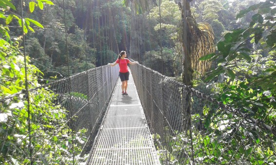 Pont suspendu à Arenal
