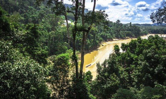 Taman Negara