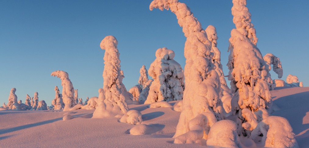 Finlande en hiver