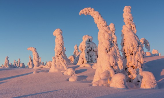 Finlande en hiver