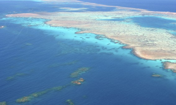 Vue aérienne de la grande barrière de corail en Australie