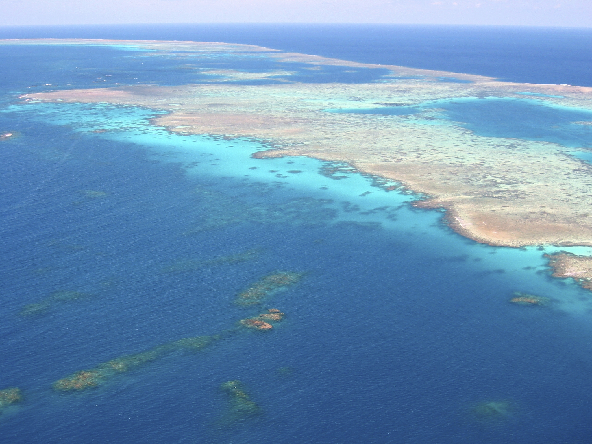 Vue aérienne de la grande barrière de corail en Australie