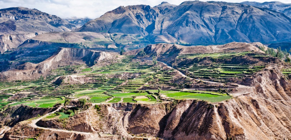 Canyon de Colca au Pérou