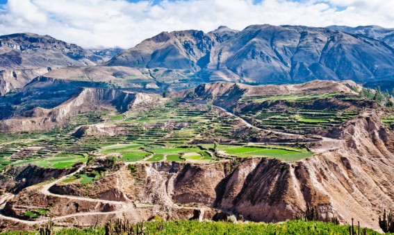 Canyon de Colca au Pérou