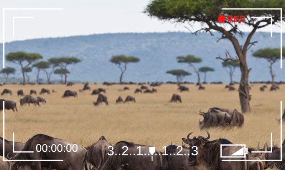Masaï Mara