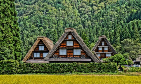 Découverte du Japon traditionnel à Gifu