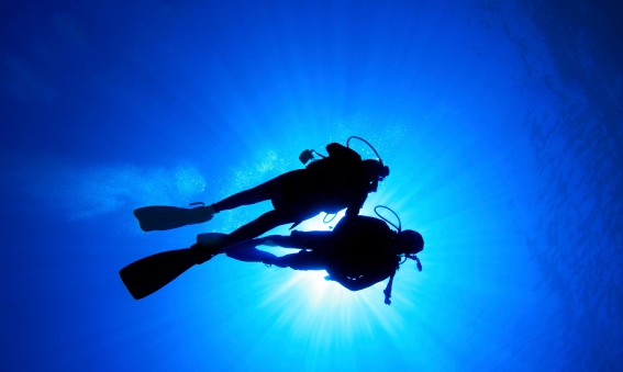 Les meilleurs spots pour plonger en voyage