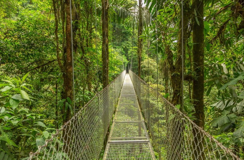 Monteverde au Costa Rica