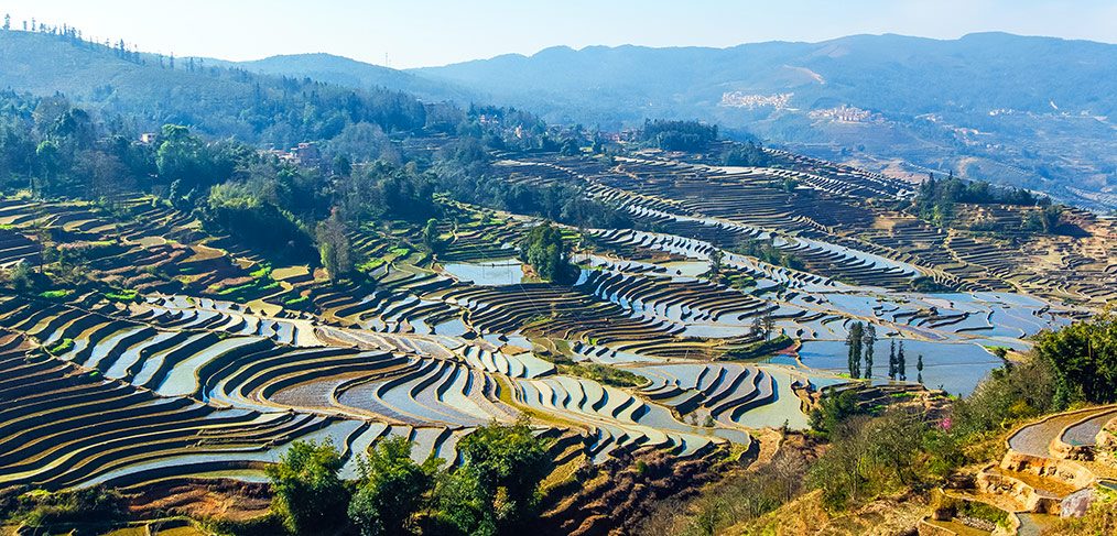 Vid o Chine Ascension Rizi res Et Rencontres Vid o Chine Ascension Rizi res Et Rencontres