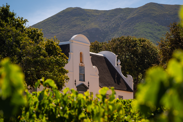 Domaine viticole Groot Constantia