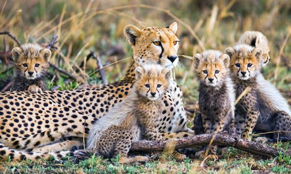 voyage tanzanie