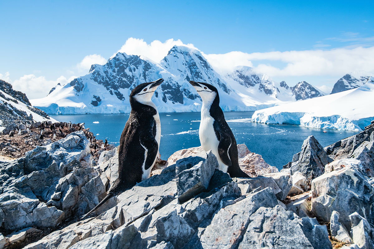 voyage aux confins de l'Antarctique