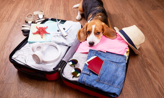 Faire sa valise : un casse-tête ?
