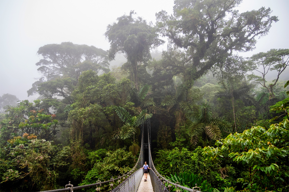Les forêts de brume du Costa Rica invitent à l'aventure...