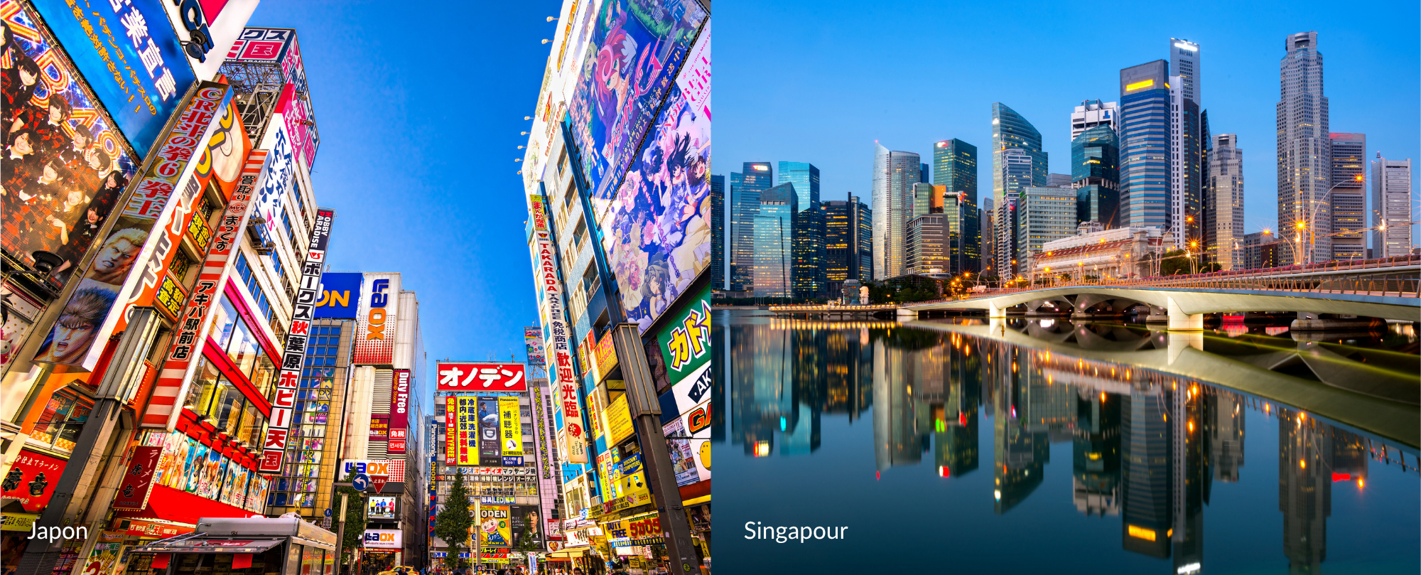 Quartier animé au Japon et skyline de Singapour