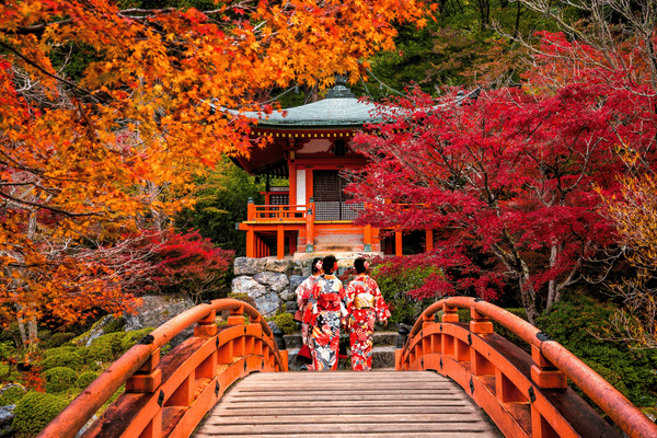 Jeunes femmes portant le yukata traditionnel japonais au temple Daigo-ji