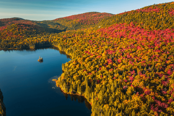 Automne dans le parc national du Mont Tremblant, Québec, Canada