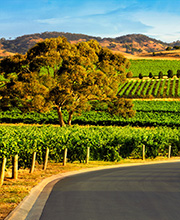 Les vallées viticoles d'Australie
