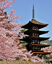 Temple Ruriko-ji