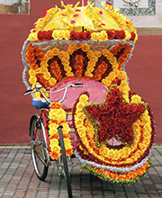 Balade en Rickshaw