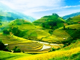 Le Vietnam, de villages en rizières