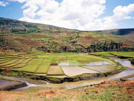 Terres rougeoyantes et rizières verdoyantes
